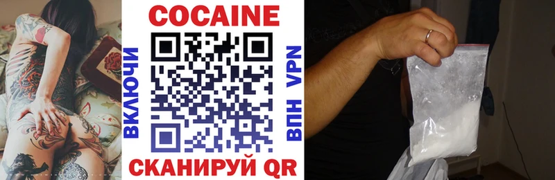 Cocaine Fish Scale  Купить закладки  Солнечногорск 