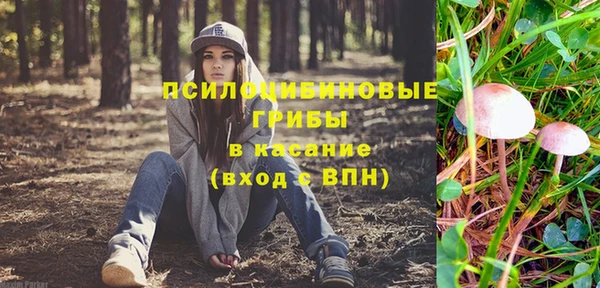 молекула духа Лагань