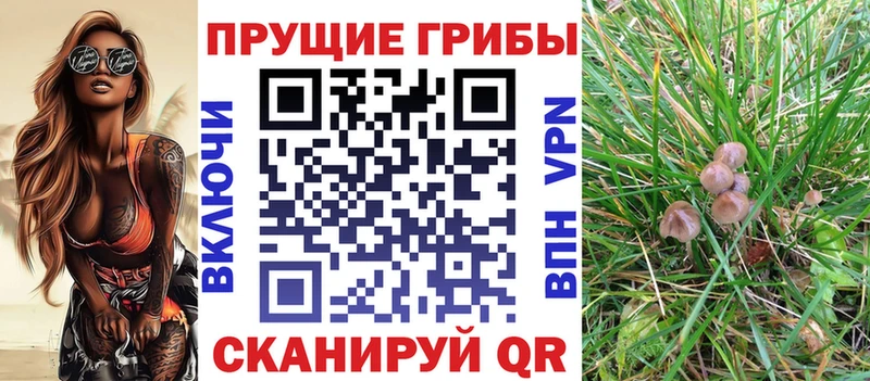 Псилоцибиновые грибы прущие грибы  Купить где  Солнечногорск 
