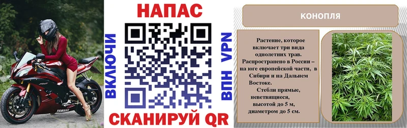 Купить закладки  Солнечногорск  Шишки марихуана SATIVA & INDICA 